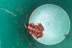IMG-20220315-WA0000
