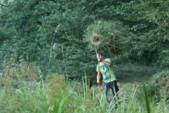SONY DSC
