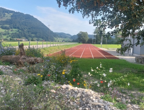 Aufwertungsprojekt Sportanlage Rheinblick
