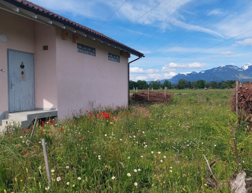 Aufwertungsprojekt Trafostation